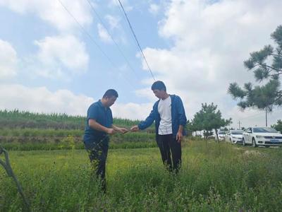 &ldquo;三抓三促&rdquo;行动进行时