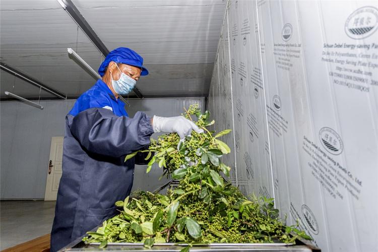 桑葚红透致富路——双河村从初级农副产品迈向加工增值的蝶变